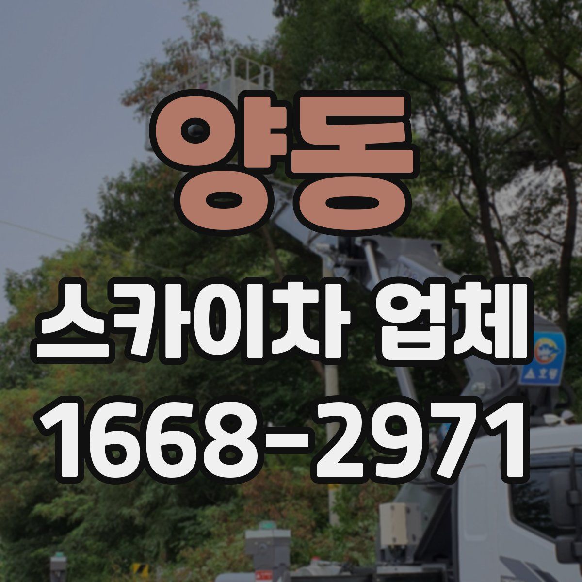 양동 스카이차 업체