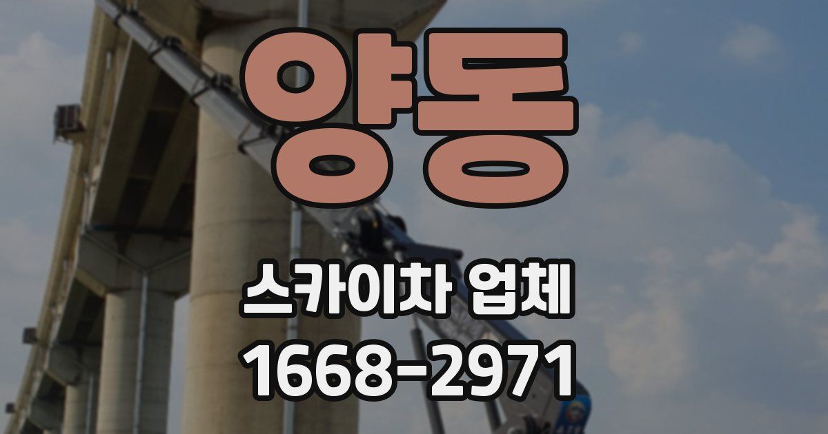 양동 스카이차 업체