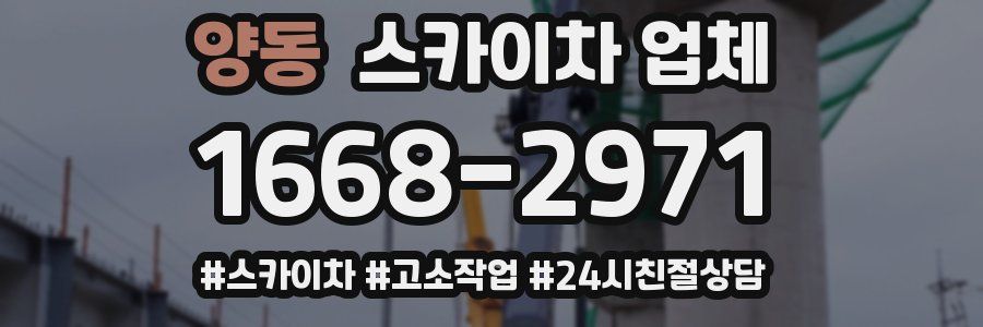 양동 스카이차 업체