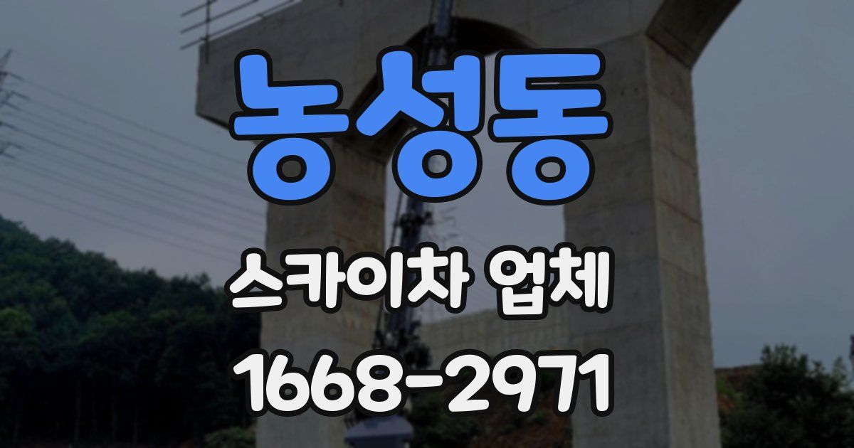농성동 스카이차 업체