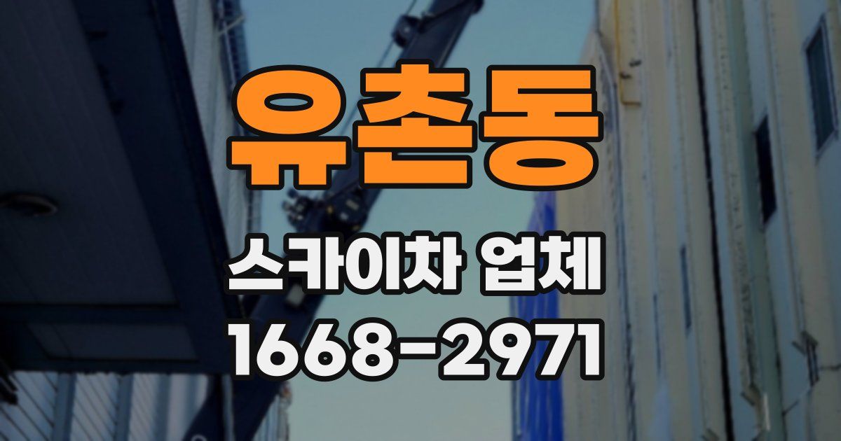 유촌동 스카이차 업체