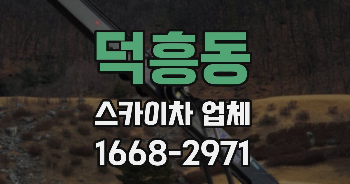 덕흥동 스카이차 업체