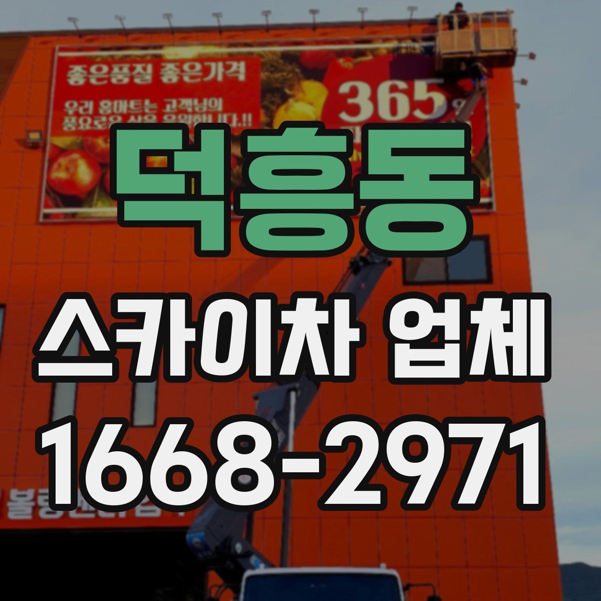 덕흥동 스카이차 업체