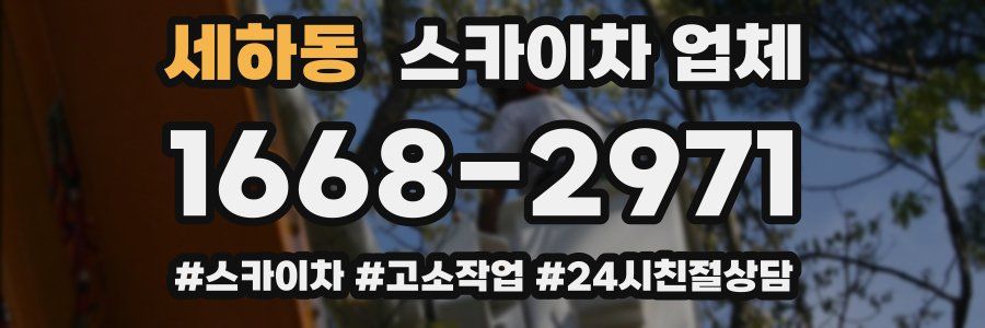 세하동 스카이차 업체