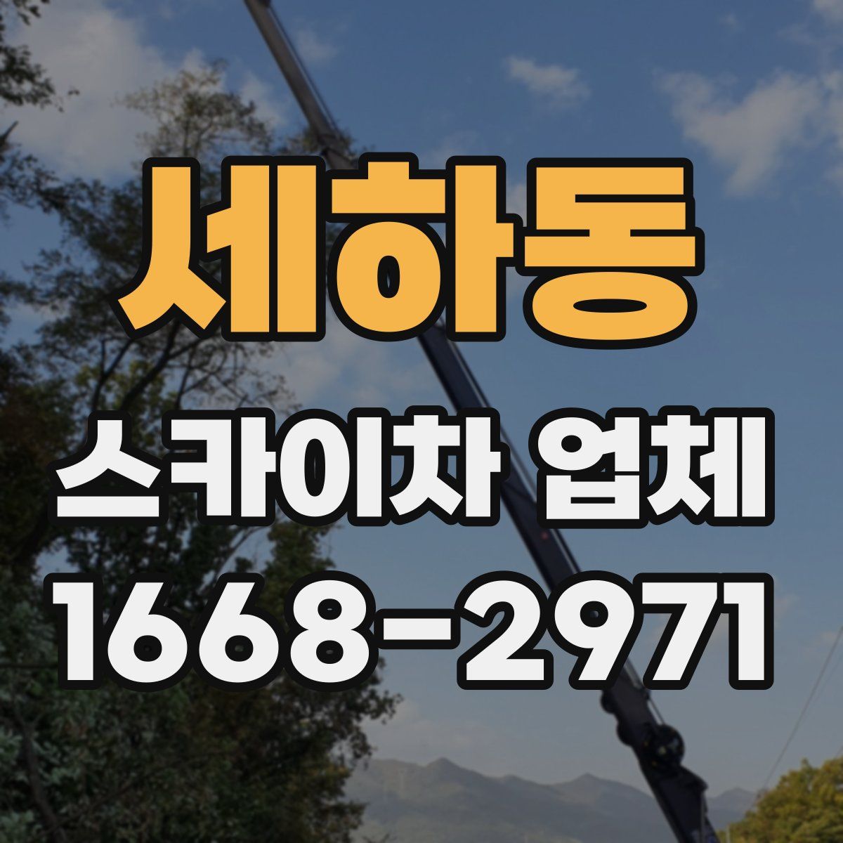 세하동 스카이차 업체