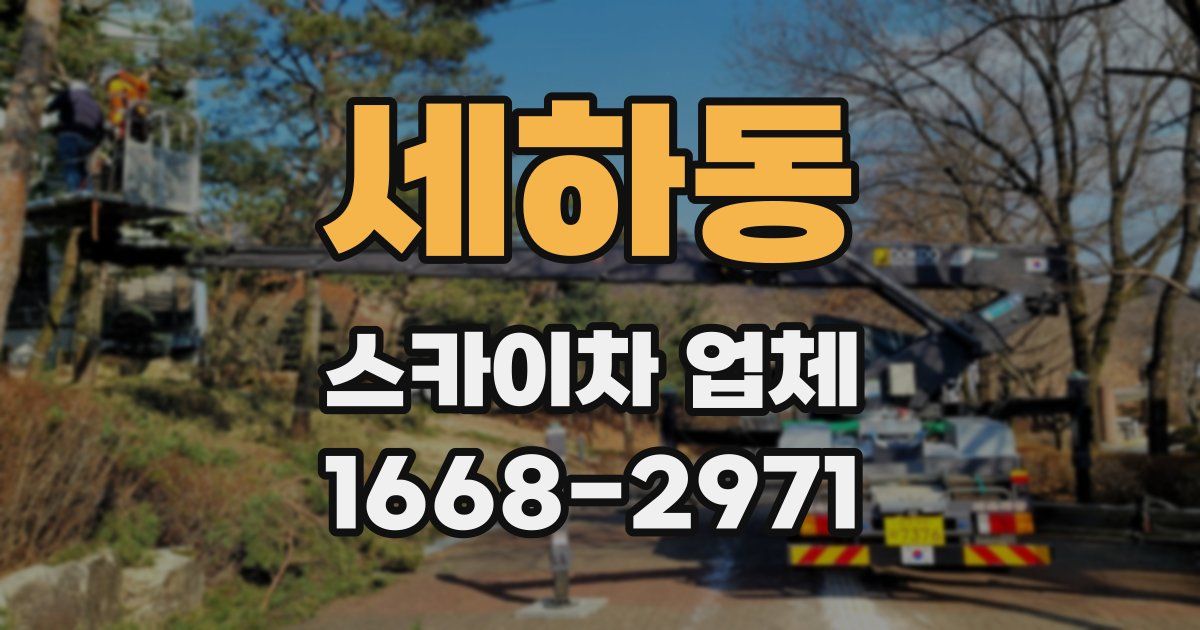 세하동 스카이차 업체