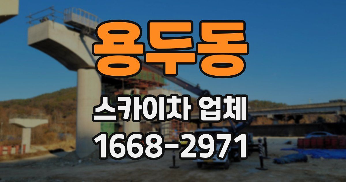용두동 스카이차 업체