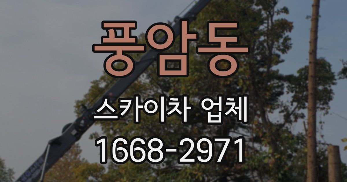 풍암동 스카이차 업체
