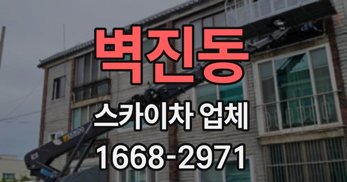 벽진동 스카이차 업체