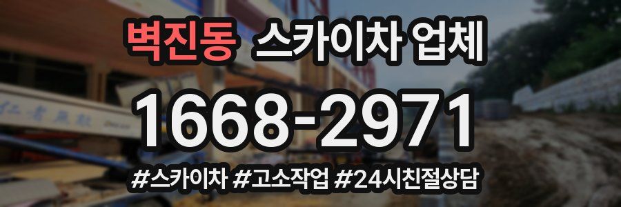 벽진동 스카이차 업체
