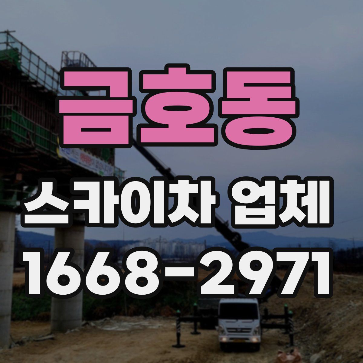 금호동 스카이차 업체
