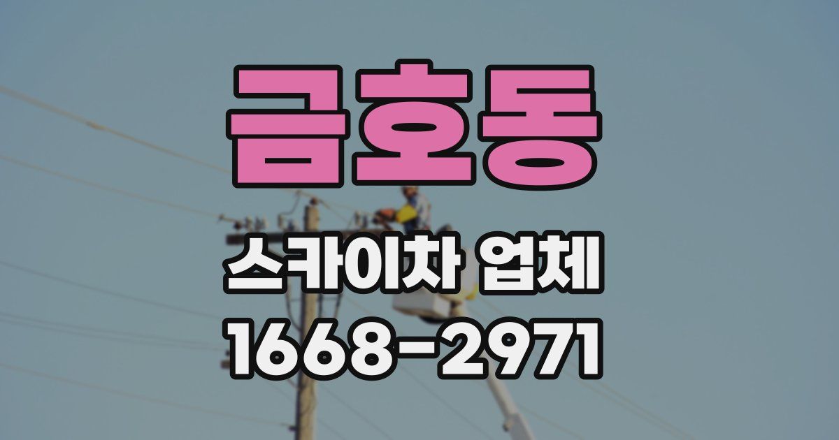 금호동 스카이차 업체