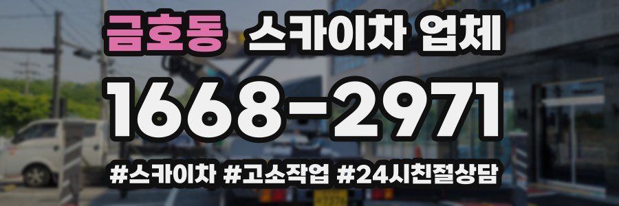 금호동 스카이차 업체