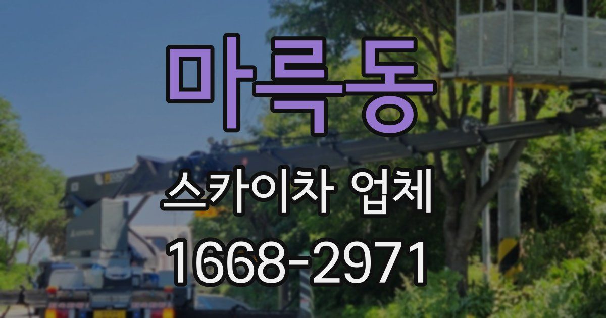 마륵동 스카이차 업체