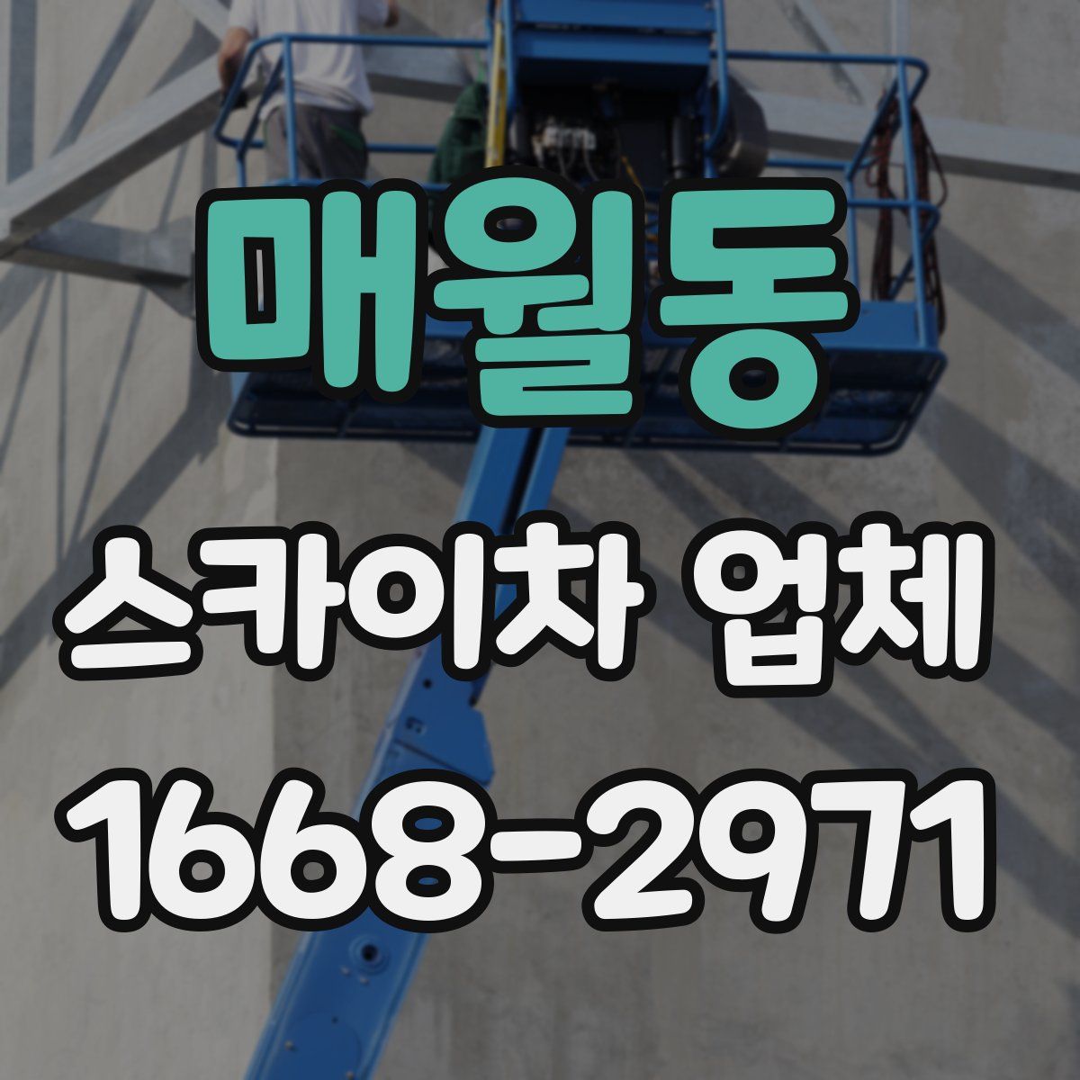 매월동 스카이차 업체