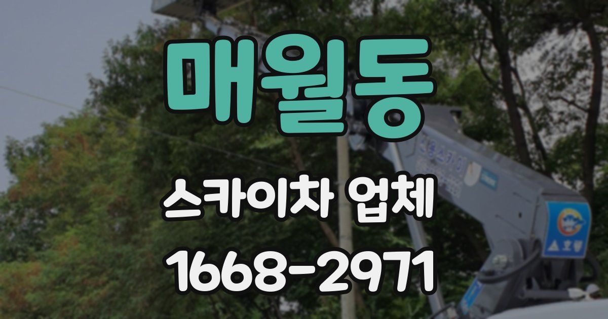 매월동 스카이차 업체