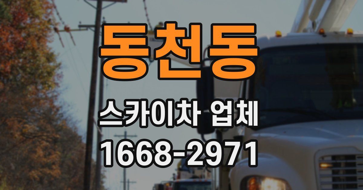 동천동 스카이차 업체