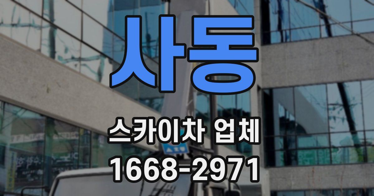 사동 스카이차 업체