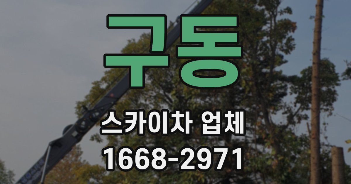 구동 스카이차 업체