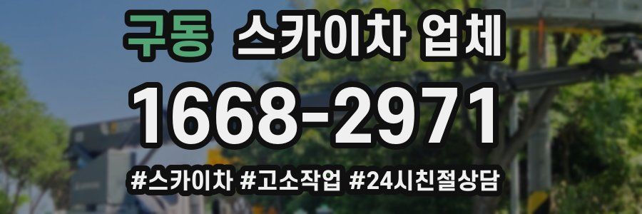 구동 스카이차 업체