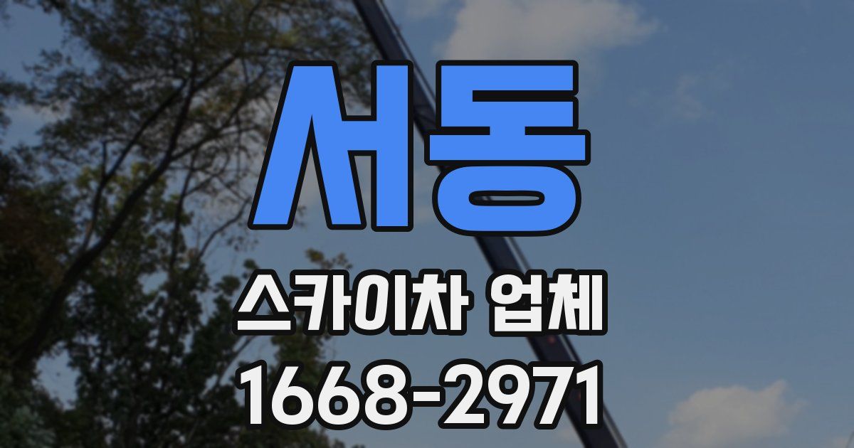 서동 스카이차 업체