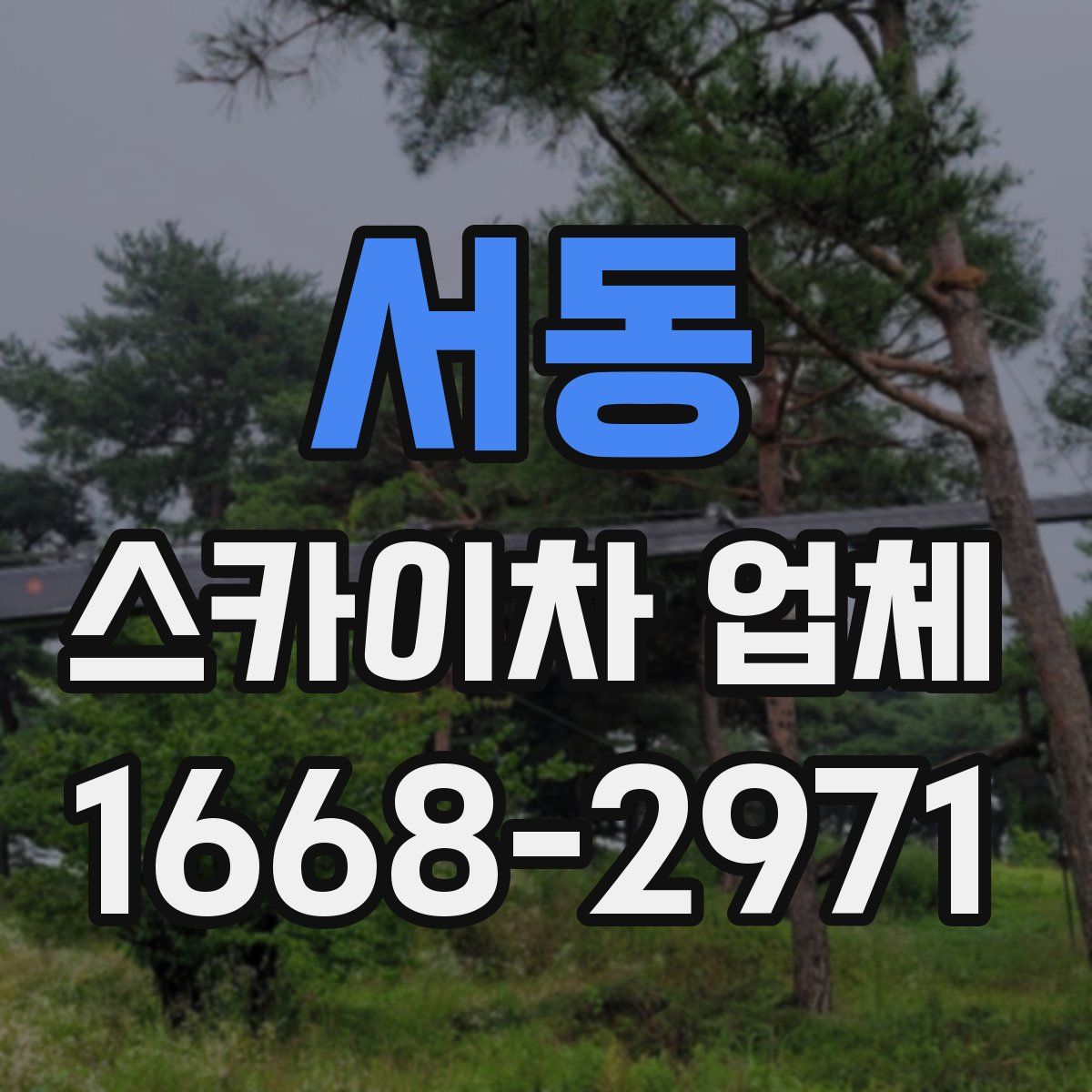 서동 스카이차 업체
