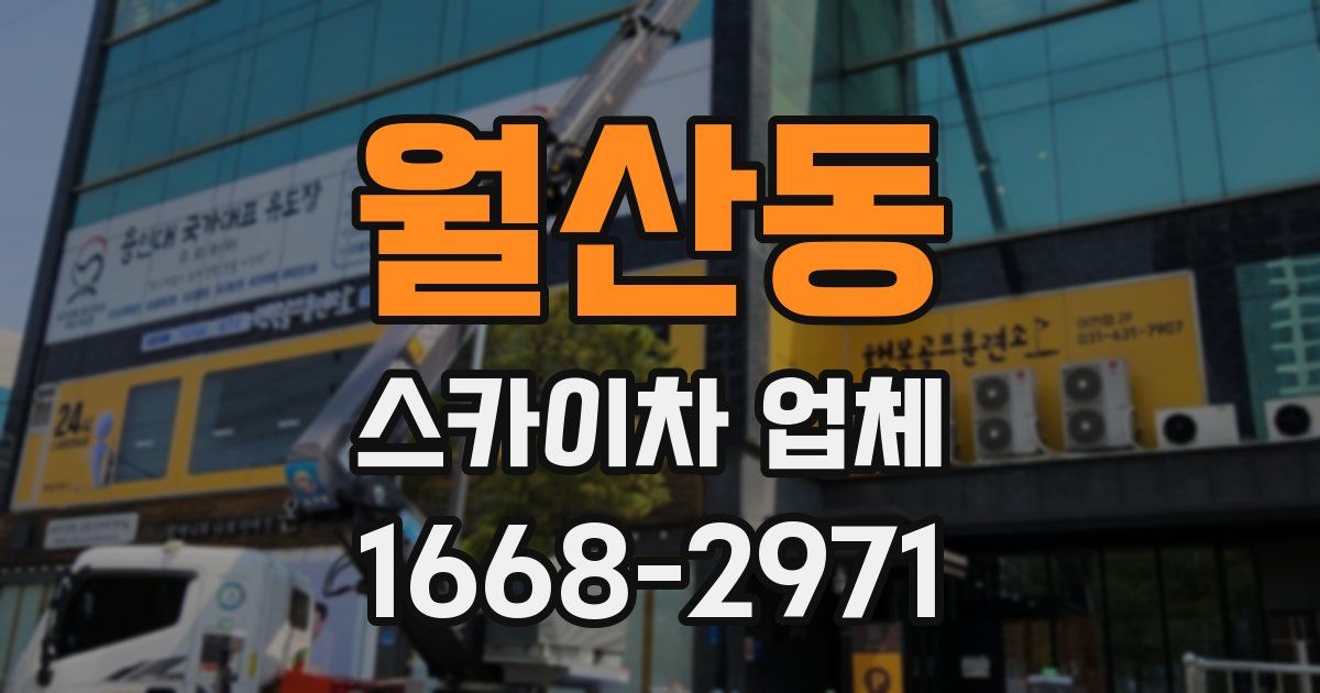 월산동 스카이차 업체