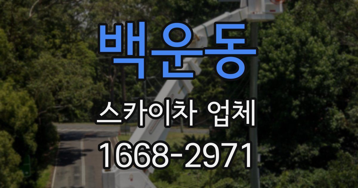 백운동 스카이차 업체