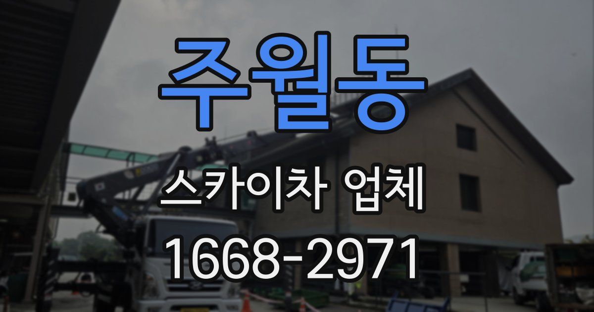 주월동 스카이차 업체