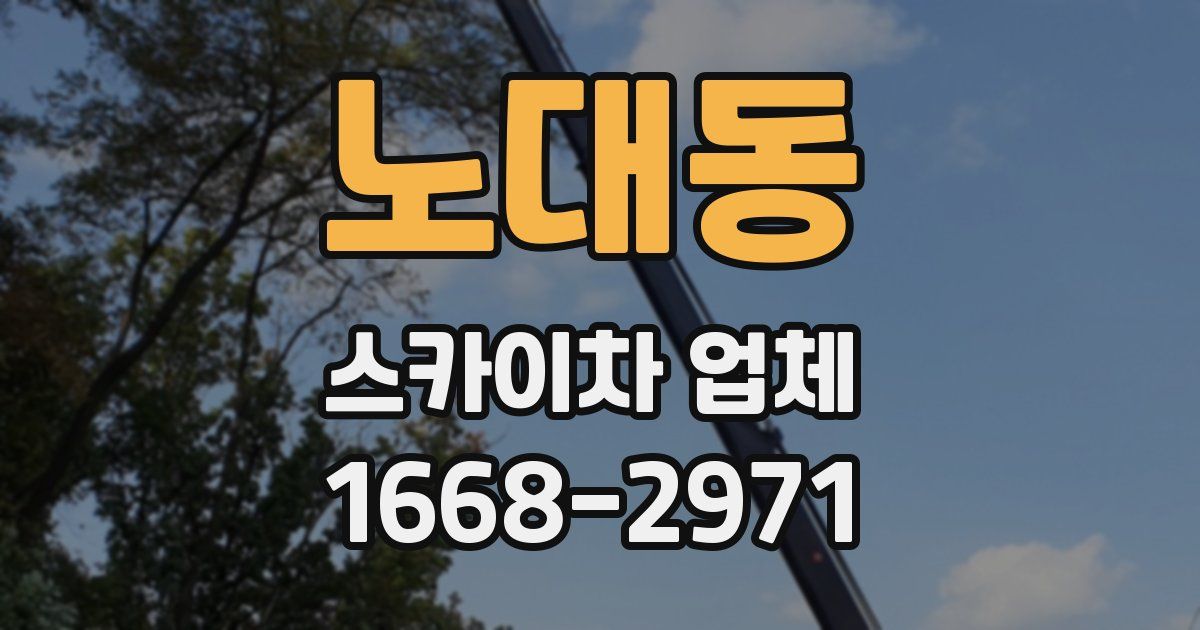 노대동 스카이차 업체