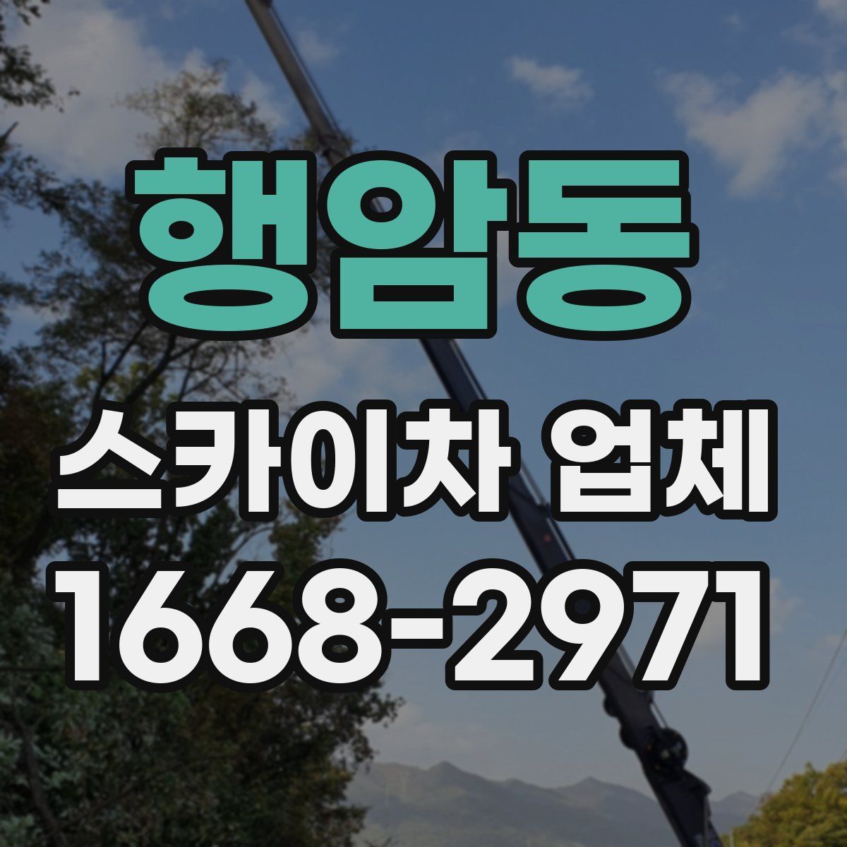 행암동 스카이차 업체