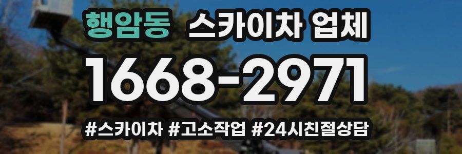 행암동 스카이차 업체