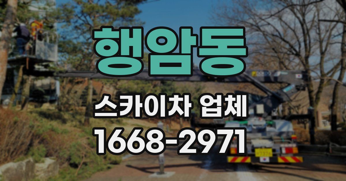 행암동 스카이차 업체