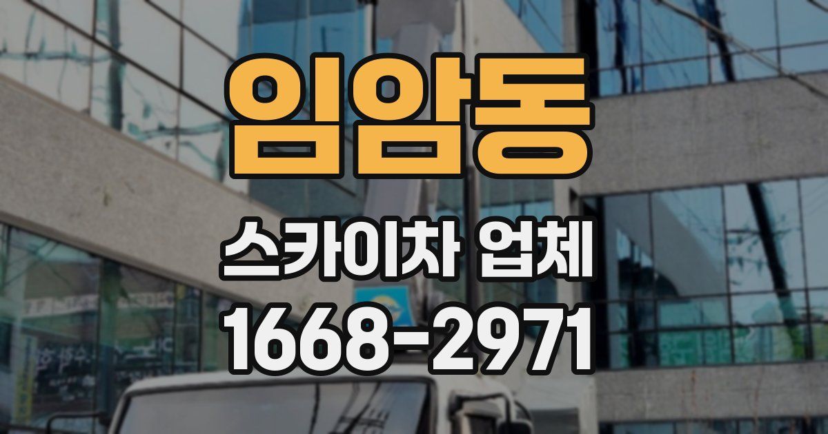 임암동 스카이차 업체