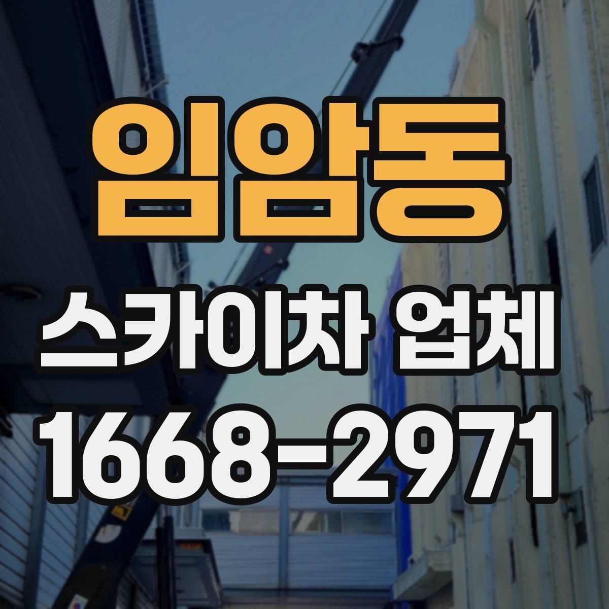 임암동 스카이차 업체