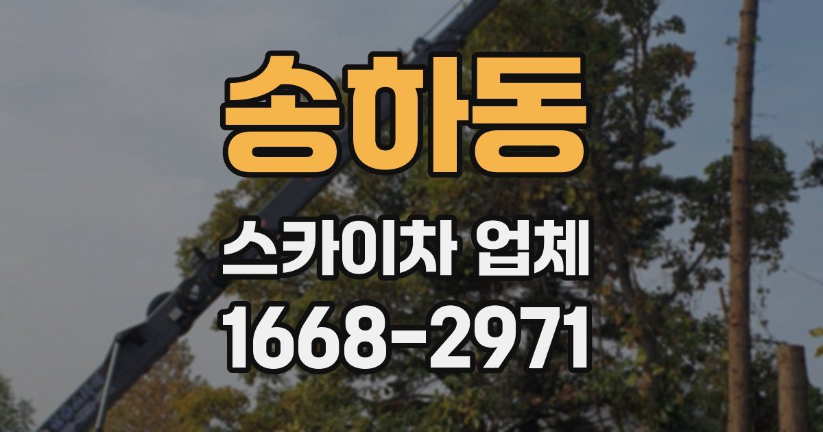 송하동 스카이차 업체