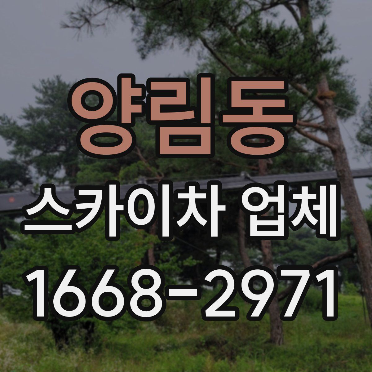 양림동 스카이차 업체