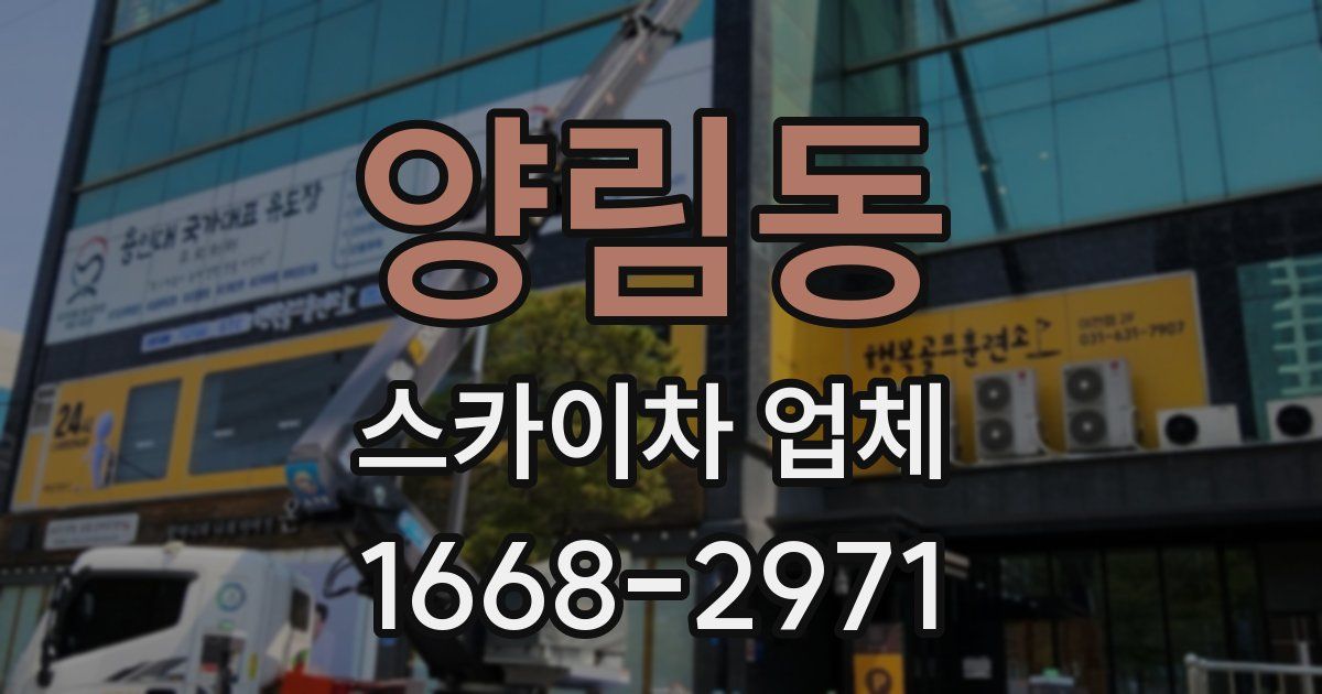 양림동 스카이차 업체
