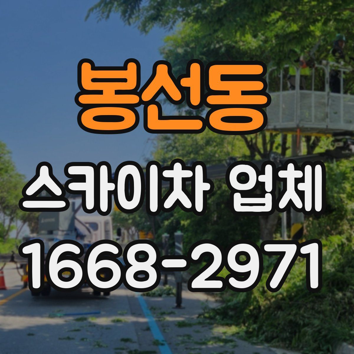 봉선동 스카이차 업체