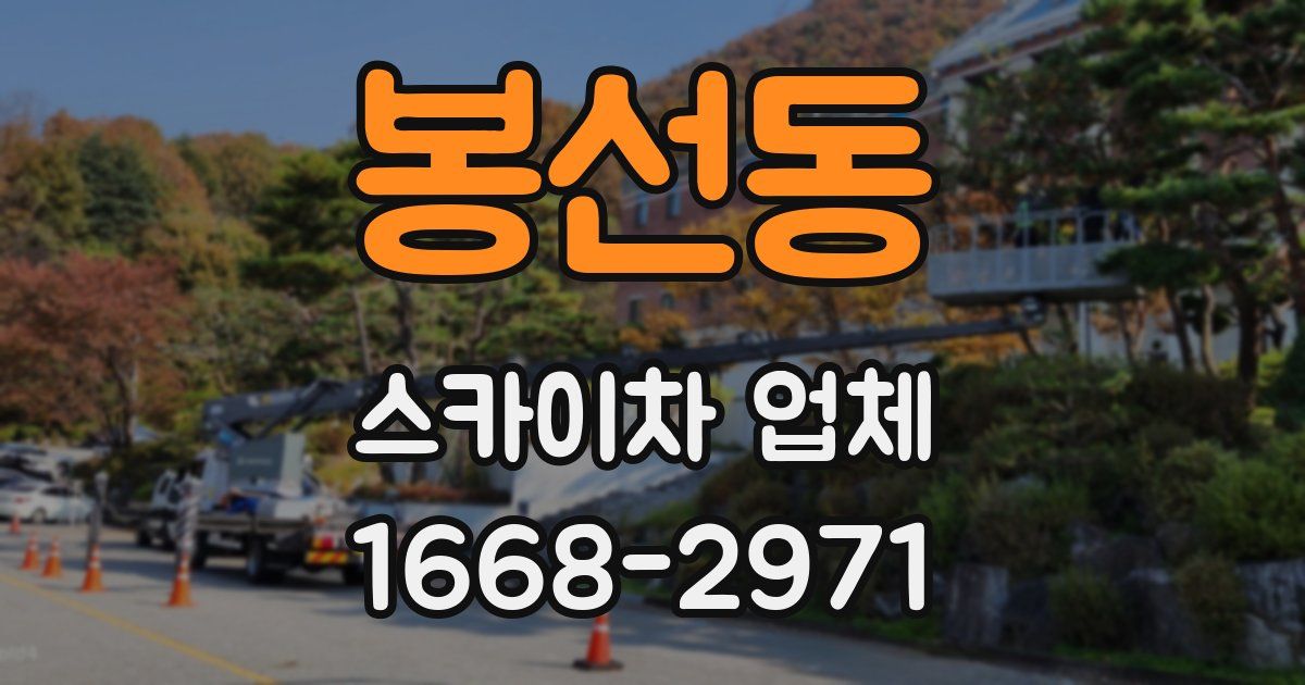 봉선동 스카이차 업체
