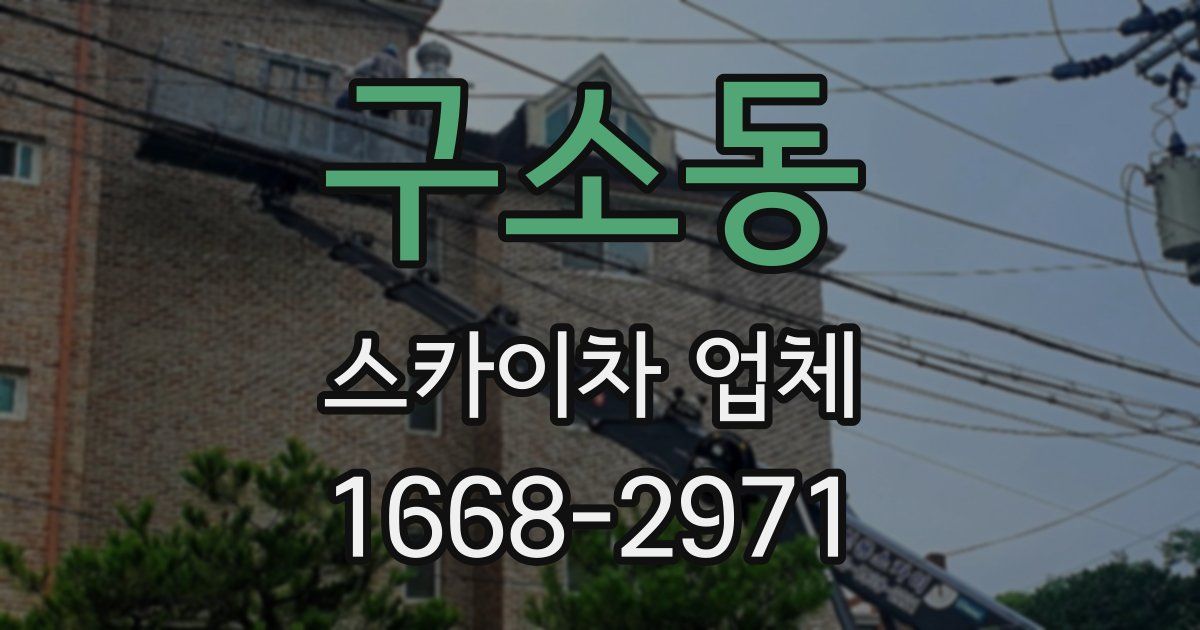 구소동 스카이차 업체