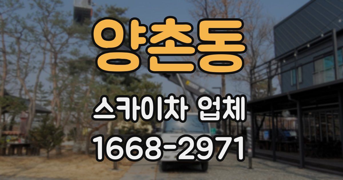 양촌동 스카이차 업체