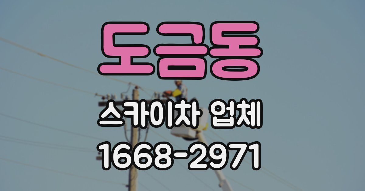 도금동 스카이차 업체
