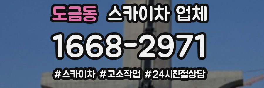 도금동 스카이차 업체