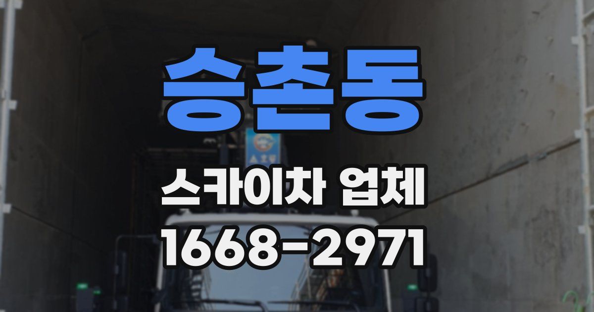 승촌동 스카이차 업체