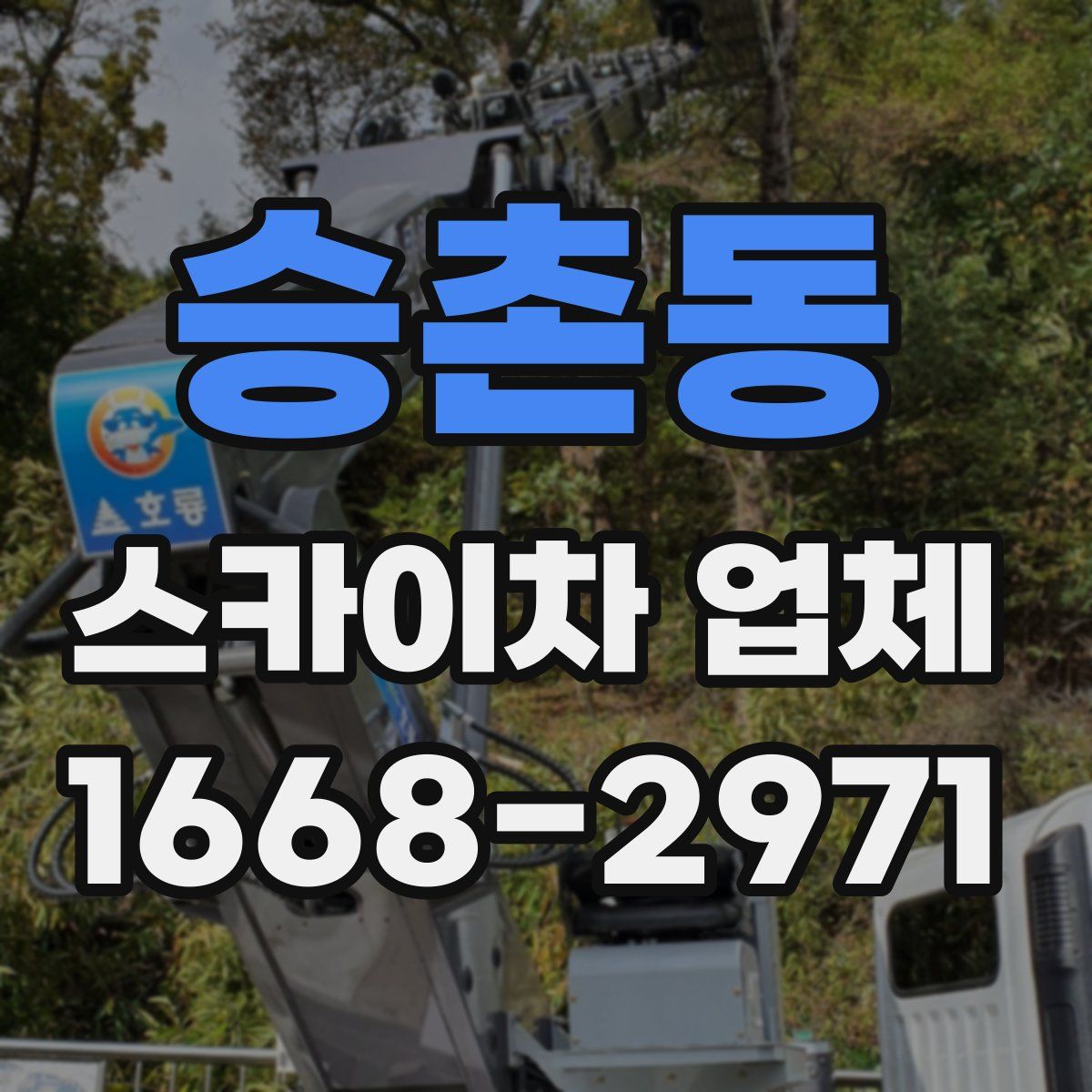 승촌동 스카이차 업체