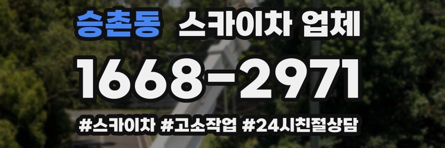 승촌동 스카이차 업체