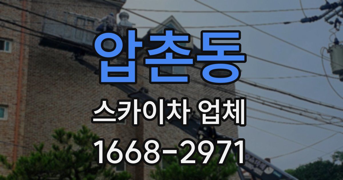 압촌동 스카이차 업체
