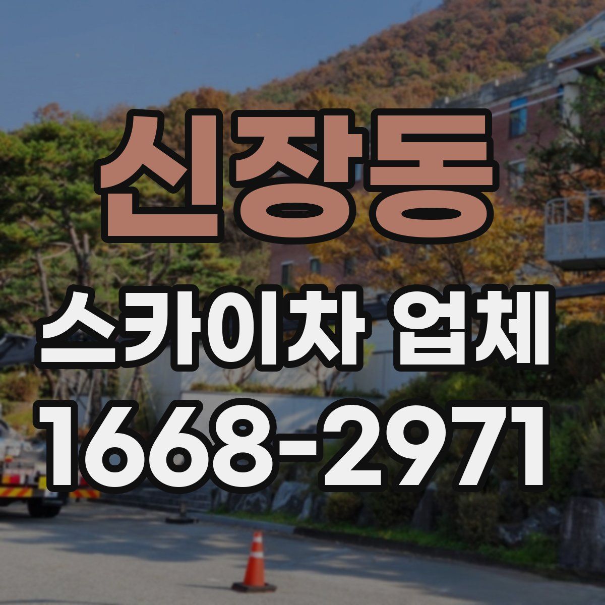 신장동 스카이차 업체