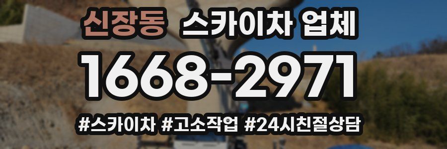 신장동 스카이차 업체